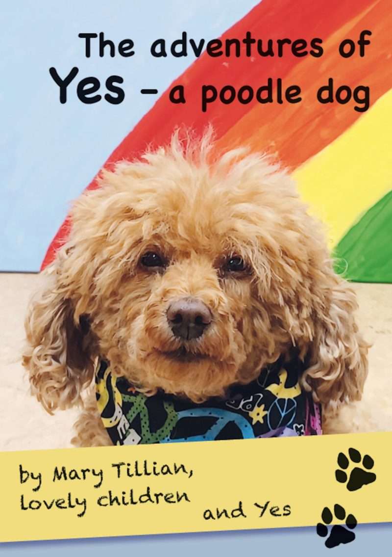 The adventures of Yes - a poodle dog